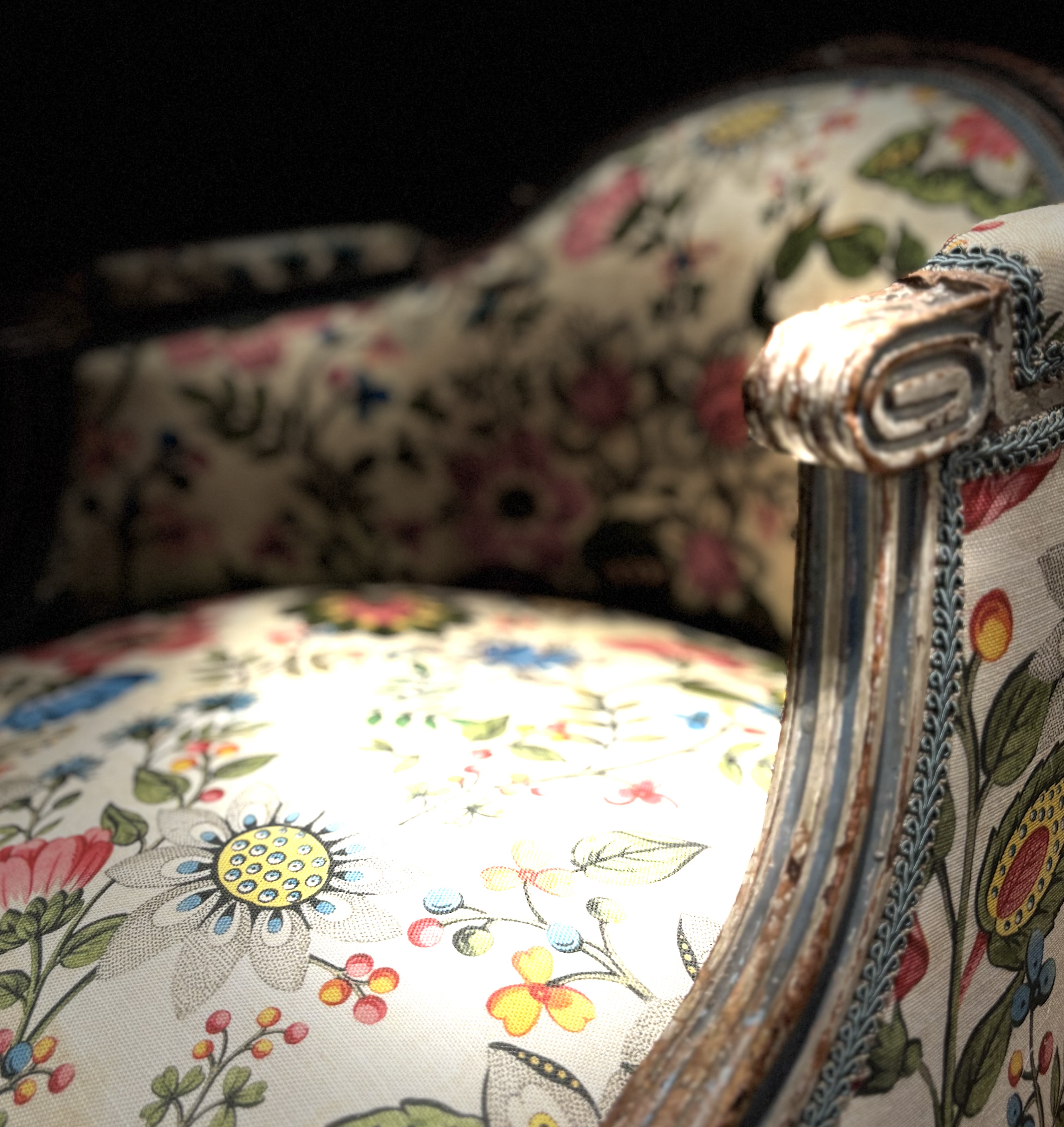 Fauteuil corbeille style Louis XVI relooké avec un tissu John Derian édité par Designers Guild